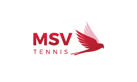 MSV